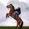 11149587 ride a horse 1654908677